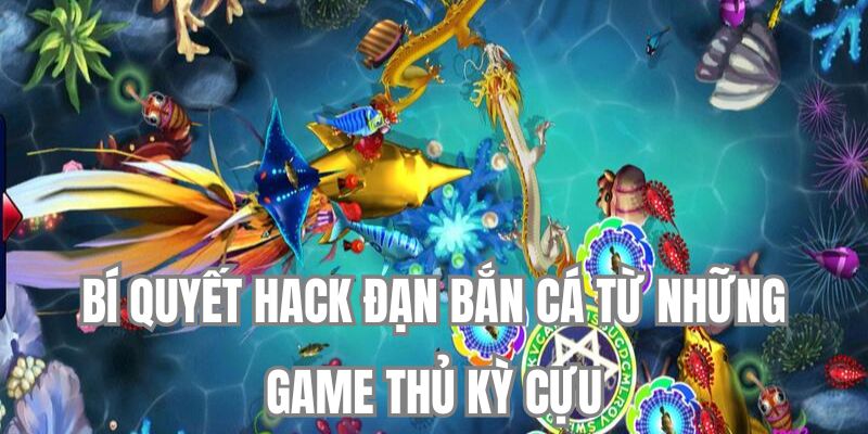 Bí quyết hack đạn bắn cá từ những game thủ kỳ cựu