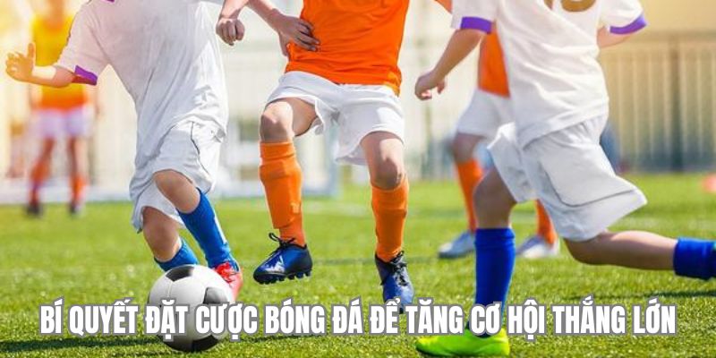 Bí quyết đặt cược bóng đá để tăng cơ hội thắng lớn