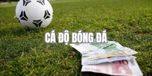 Hướng Dẫn Cá Độ Bóng Đá Chi Tiết Cho Người Mới Tham Gia