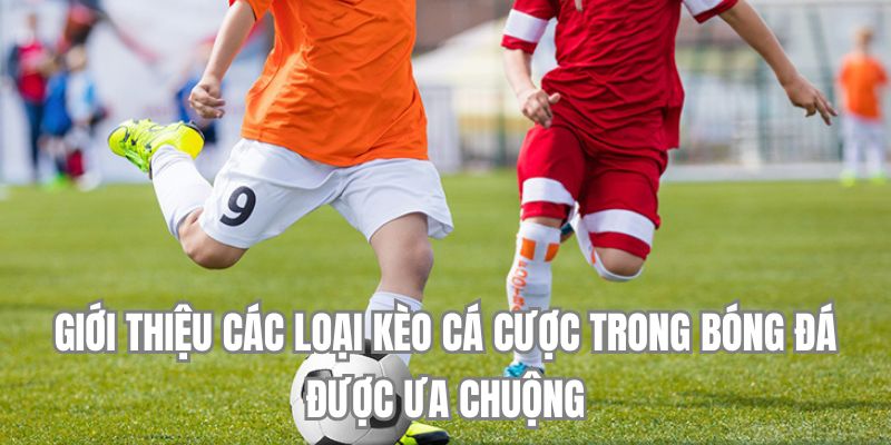 Giới thiệu các loại kèo cá độ bóng đá được ưa chuộng