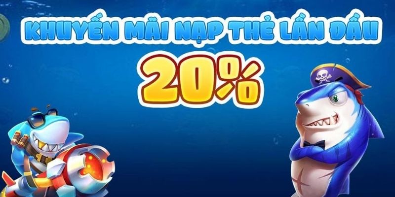 Bỏ túi bí kíp săn ngư hiệu quả từ dân chuyên